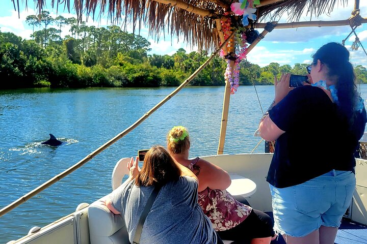 Cocoa Beach - Private 2hr Dolphin Sightseeing Tour - Photo 1 of 22